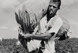 Cotton picker; ten years, robbery and assault