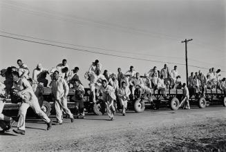 Convicts being transported in wagons to work