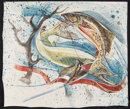 untitled [two fish, trout and pike, background loosely spattered paint]