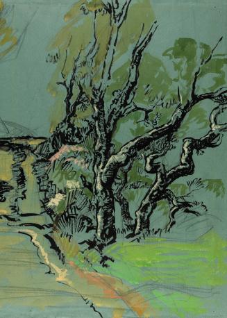 [Copse of trees]