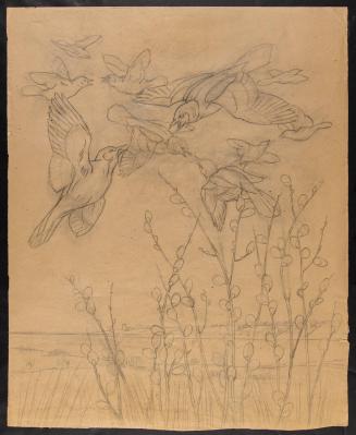 Ten Birds Fighting Among Pussy Willows