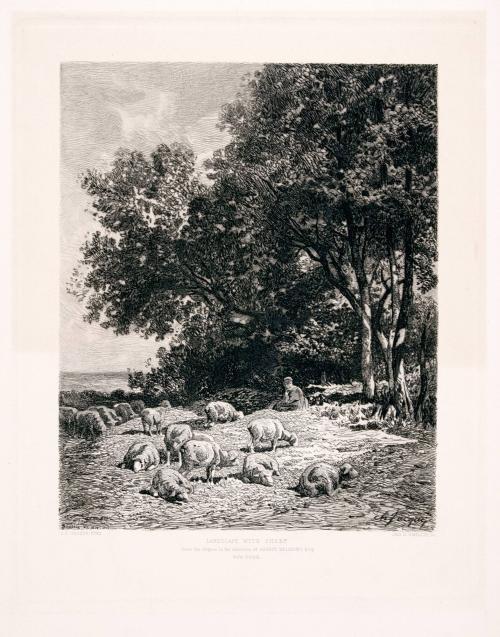 Landscape with Sheep