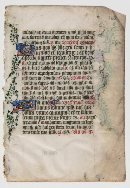 Book of Hours, Folio