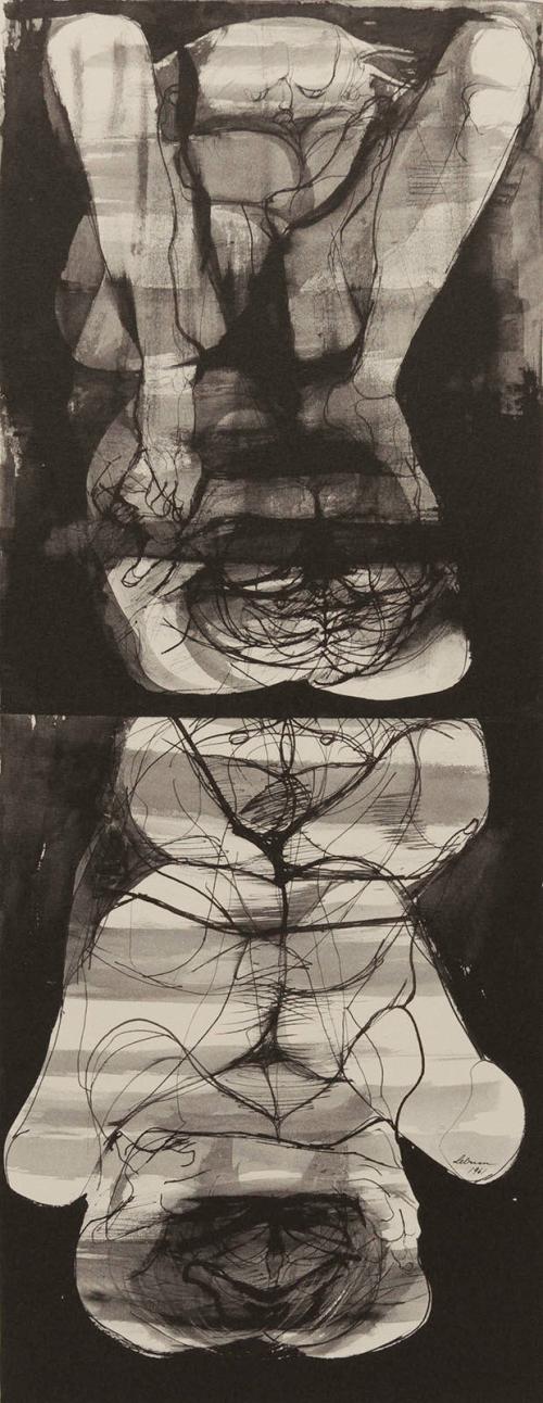 Long shade in frozen lake