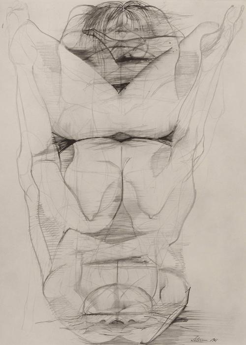 Shades in the frozen lake