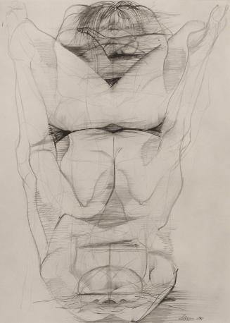 Shades in the frozen lake