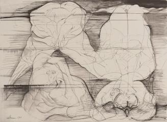 Shades imbedded in frozen lake