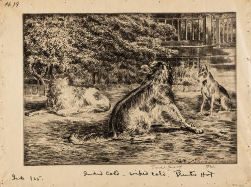 (1995.0311a): George has the Bone