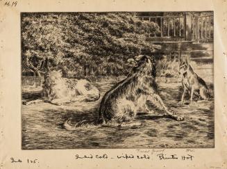 (1995.0311a): George has the Bone