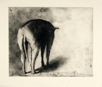 Dog in Landscape