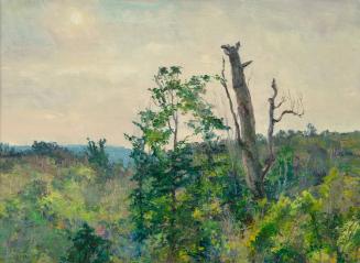 Berkshire Mountains