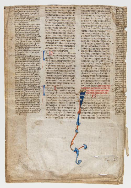 Book of Hours, Folio