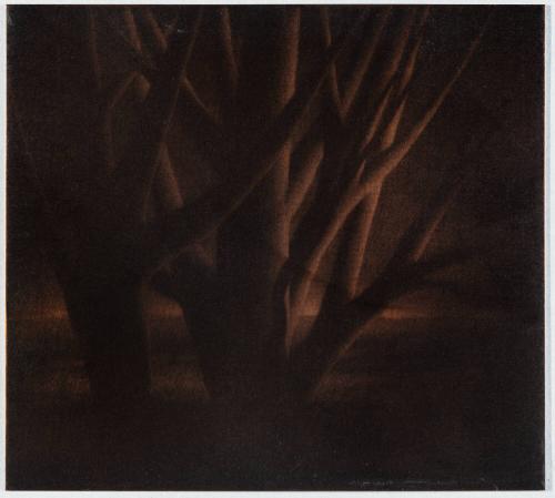 Dawn: a Remembrance