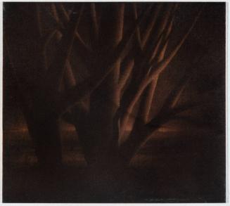 Dawn: a Remembrance
