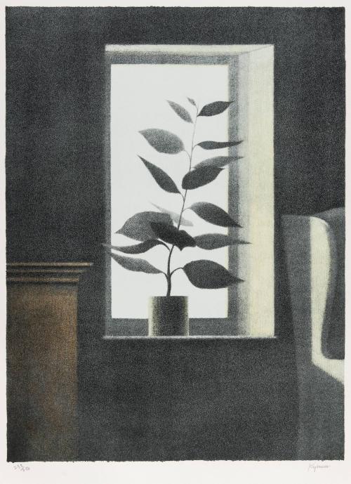 Murie’s Window