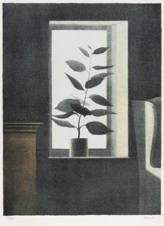 Murie’s Window