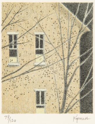 The Neighbor