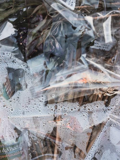 [Moisture collecting within plastic flower wrapping]