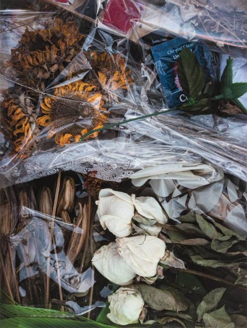 [Wilting white roses and sunflowers]