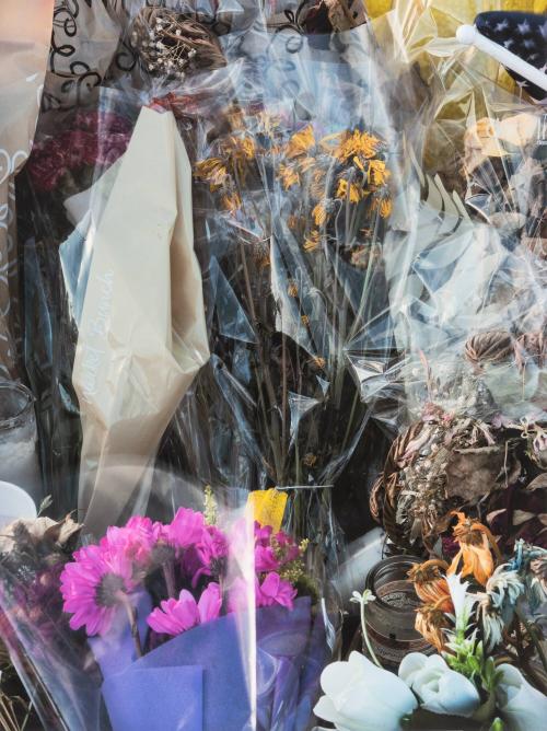 [Pink flowers and plastic wrap]