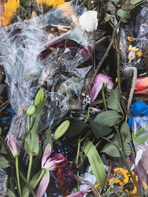 [Multi-colored flowers and plastic wrap]