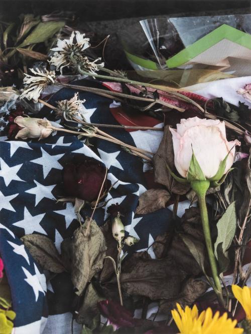 [Roses and the American flag stars]