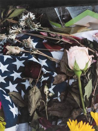 [Roses and the American flag stars]