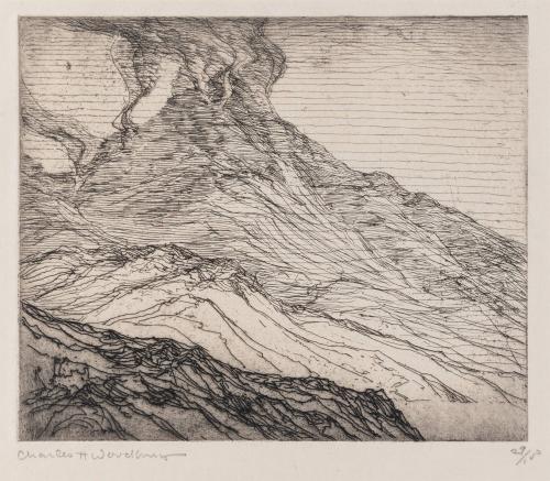Mt. Pelée
