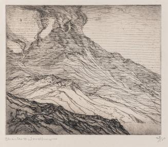 Mt. Pelée