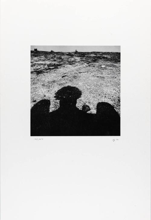 Robin Johnstone