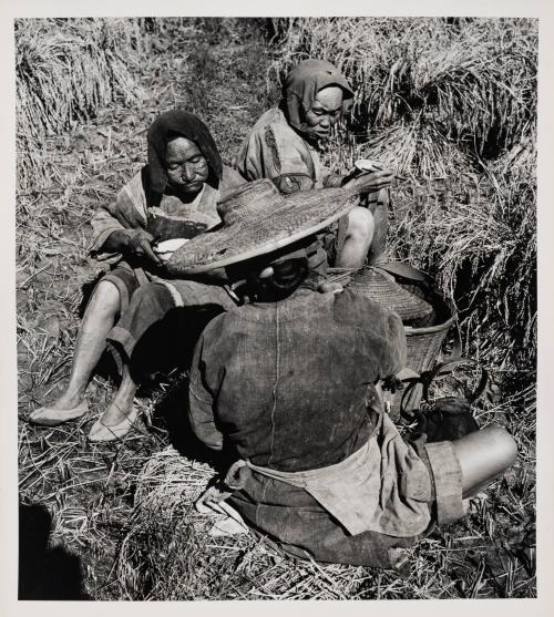[Field-working peasant women having lunch, Yunnan, China]