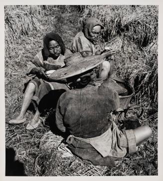 [Field-working peasant women having lunch, Yunnan, China]