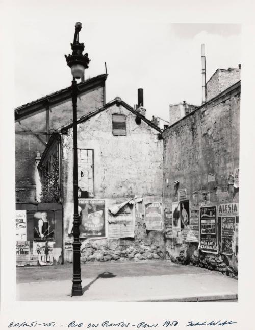 Rue Des Plantes, Paris