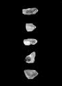 2024.84d (five pieces of quartz)