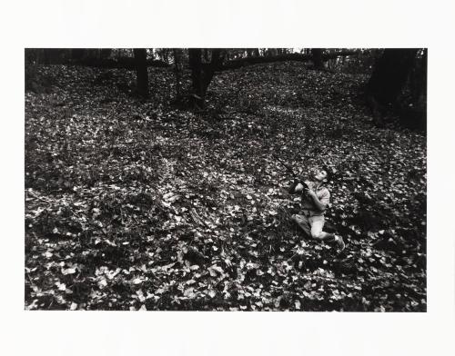 [Hunting in the woods]