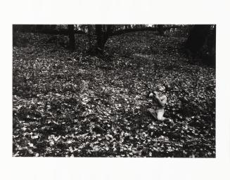 [Hunting in the woods]