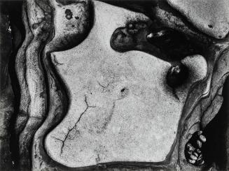 Rock Formation, Point Lobos, California