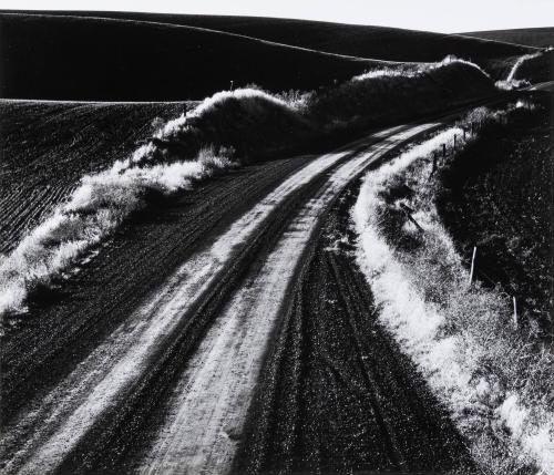 Road and Field, Oregon
