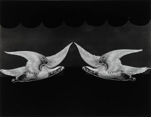 Sign, Abstraction (Bird)