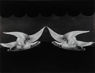 Sign, Abstraction (Bird)