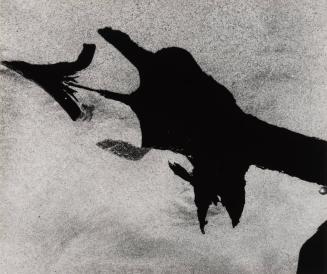 Peeling Paint Abstraction