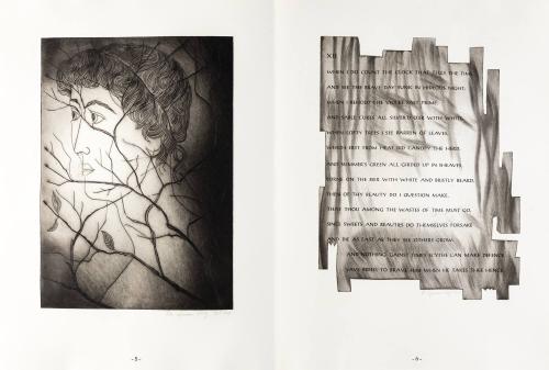 Images to Shakespeare's Sonnets XII