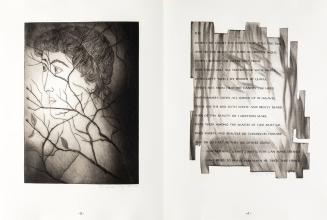 Images to Shakespeare's Sonnets XII