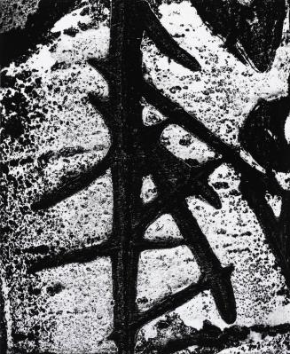 Birch Bark Abstraction