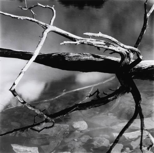 Wood and Water, Alaska