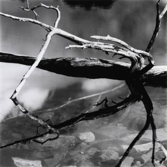 Wood and Water, Alaska