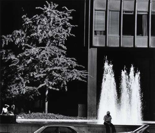 Man, Fountain, Tree, Building, New York