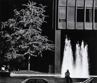 Man, Fountain, Tree, Building, New York