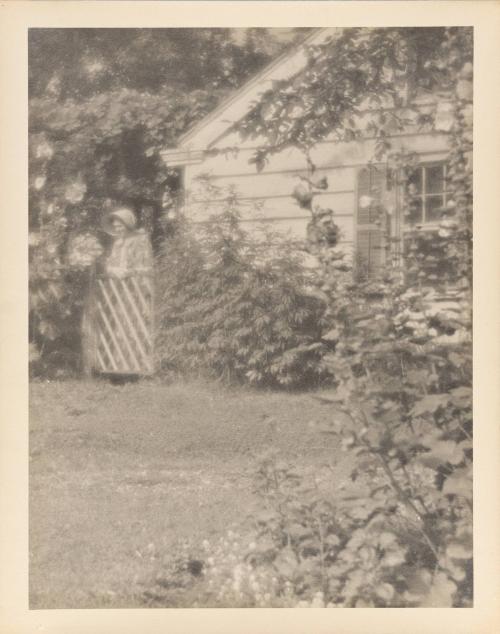 William Gordon Shields