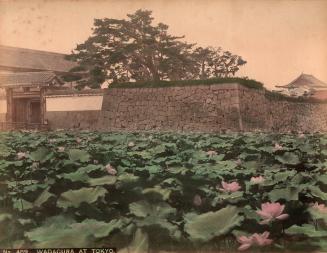 Wadagura at Tokyo